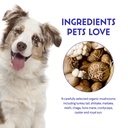 wonder-paws-immune-support-mushroom-powd-5.jpg