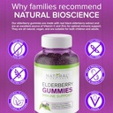 natural-bioscience-sambucus-elderberry-g-4.jpg