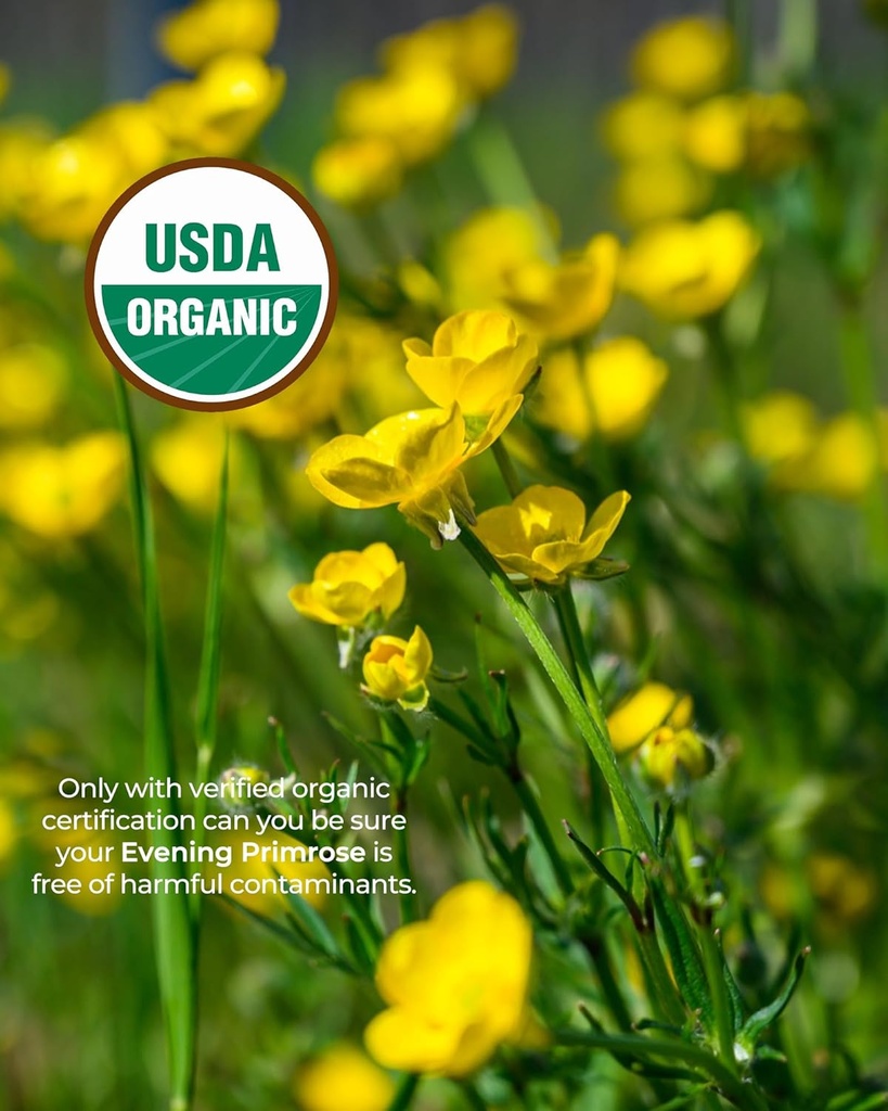 organic-evening-primrose-oil-supplement--3.jpg