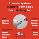 dog-antibiotics-for-infection-coughs-uti-3.jpg