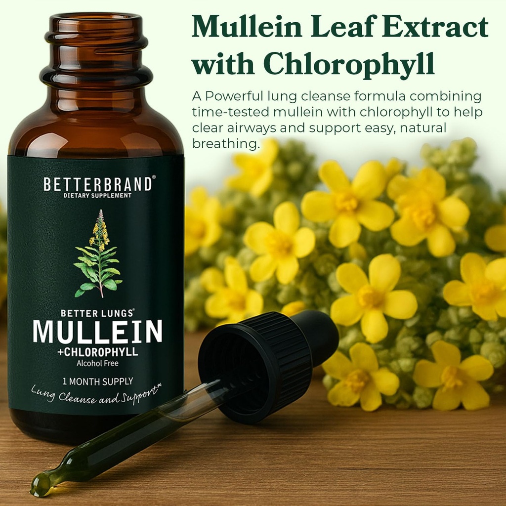 betterlungs-mullein-leaf-extract-and-gum-2.jpg