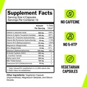 rave-supplement-rave-essentials-festival-4.jpg