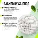 rave-supplement-rave-essentials-festival-3.jpg