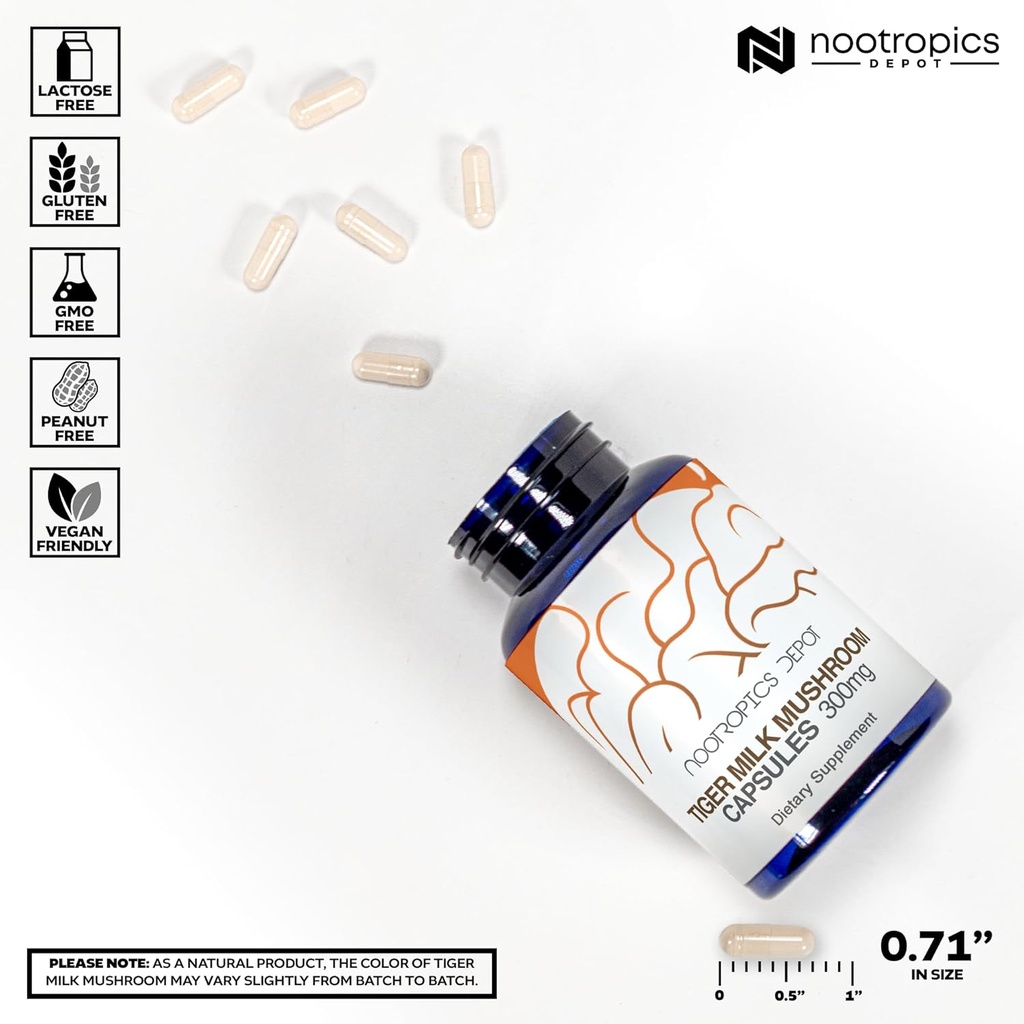nootropics-depot-tiger-milk-mushroom-cap-3.jpg