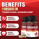 cadane-forskolin-supplement-with-coenzym-4.jpg
