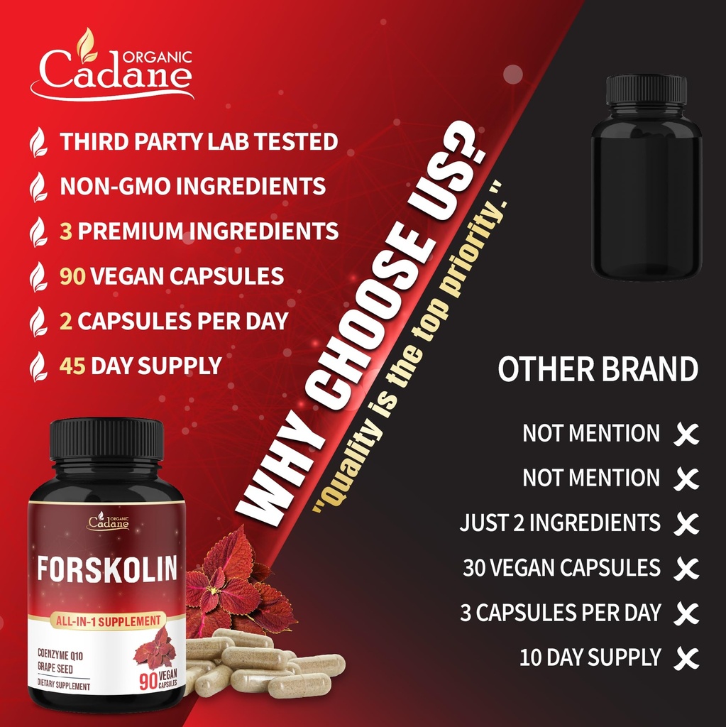 cadane-forskolin-supplement-with-coenzym-6.jpg