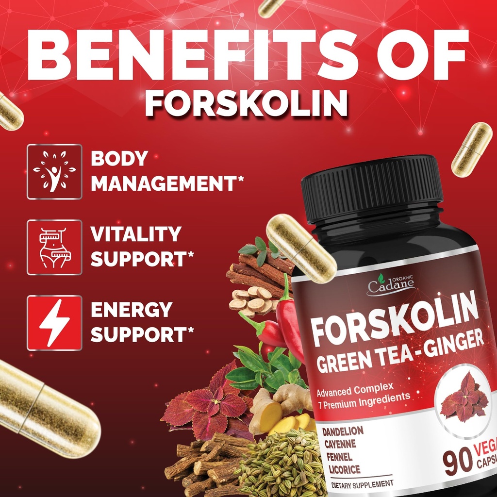 cadane-forskolin-supplement-with-green-t-4.jpg