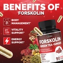 cadane-forskolin-supplement-with-green-t-4.jpg