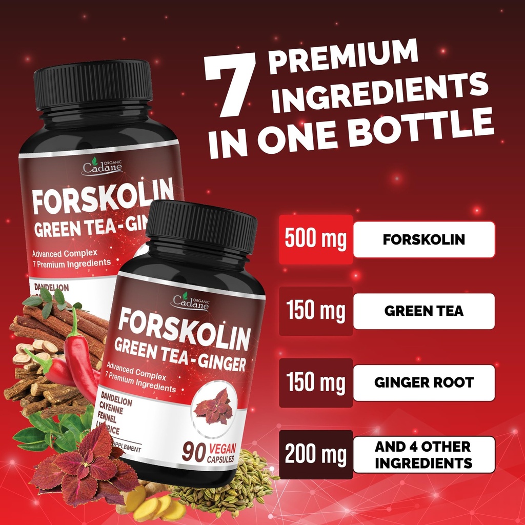 cadane-forskolin-supplement-with-green-t-3.jpg