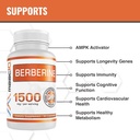 maac10-berberine-1500mg-serving-ampk-act-2.jpg