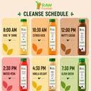 3-day-protein-juice-cleanse-by-raw-fount-4.jpg