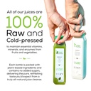 3-day-protein-juice-cleanse-by-raw-fount-5.jpg