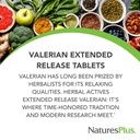 naturesplus-herbal-actives-valerian-exte-2.jpg
