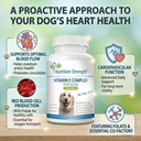 vitamin-e-for-dogs-promote-cardiovascula-4.jpg