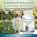 vitamin-e-for-dogs-promote-cardiovascula-2.jpg