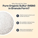 my-vida-origins-pure-organic-sulfur-99-p-4.jpg