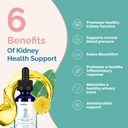 pranapets-kidney-health-support-suppleme-3.jpg