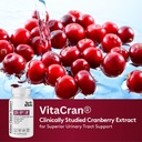 youth-tonic-candease-matrix-pills-kidney-5.jpg