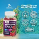 magnesium-citrate-gummies-supplement---h-4.jpg