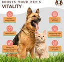 natural-dog-company-wellness-bundle-for--5.jpg