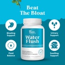 dr-vitamin-solutions-thermogenic-fat-bur-6.jpg