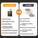paraxanthine-supplement-clean-crash-free-4.jpg