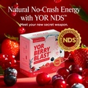 yor-berry-blast-6-in-1-energy-booster-ca-6.jpg