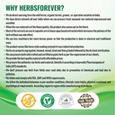 herbsforever-liver-forte-support-advance-6.jpg
