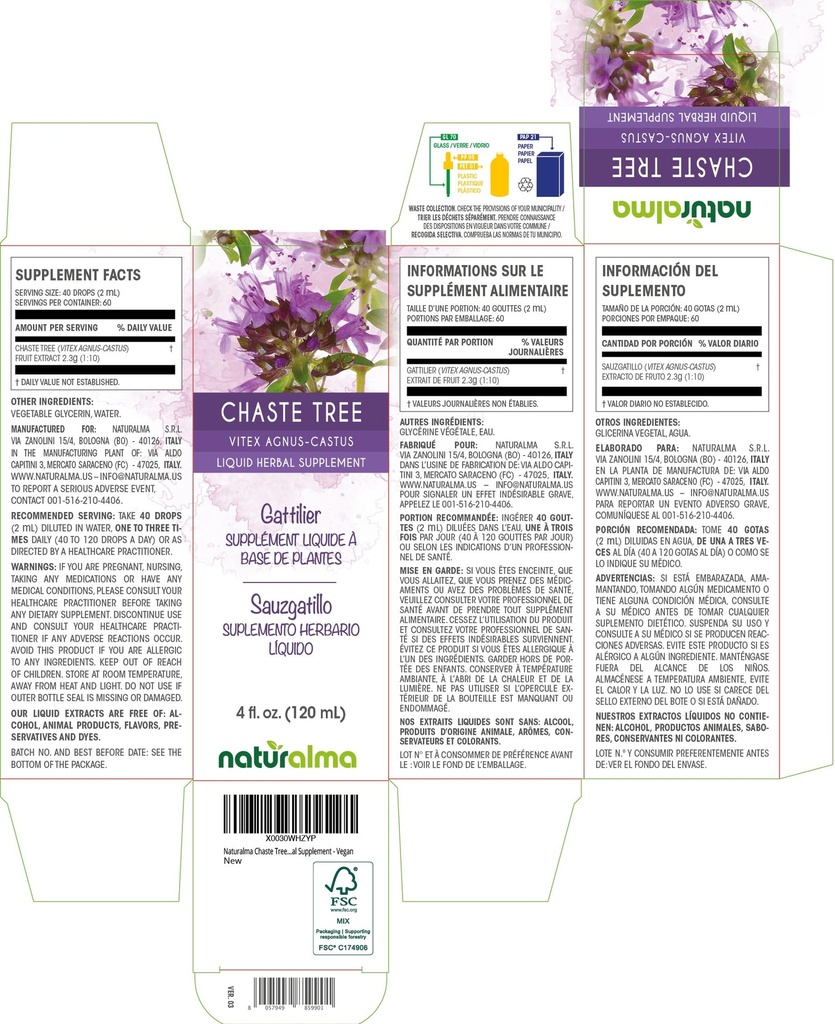 naturalma-chaste-tree-vitex-agnus-castus-2.jpg
