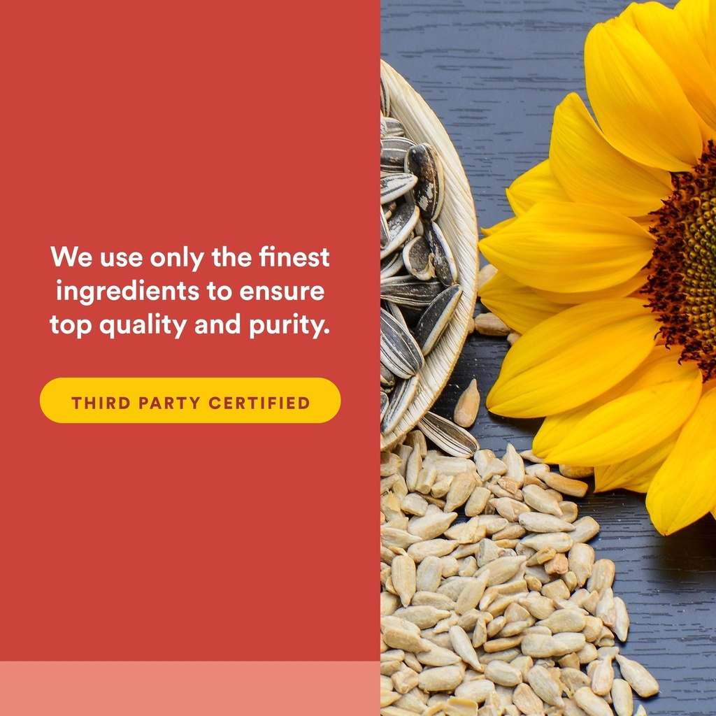 natural-factors-phosphatidylserine-suppo-5.jpg