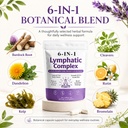 6-in-1-lymphatic-complex-capsules-lympha-2.jpg