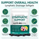2-pack-herbal-lymphatic-drainage-supplem-2.jpg