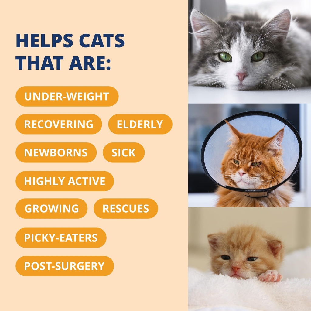 under-the-weather-pet-electrolytes-ready-4.jpg