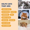 under-the-weather-pet-electrolytes-ready-4.jpg