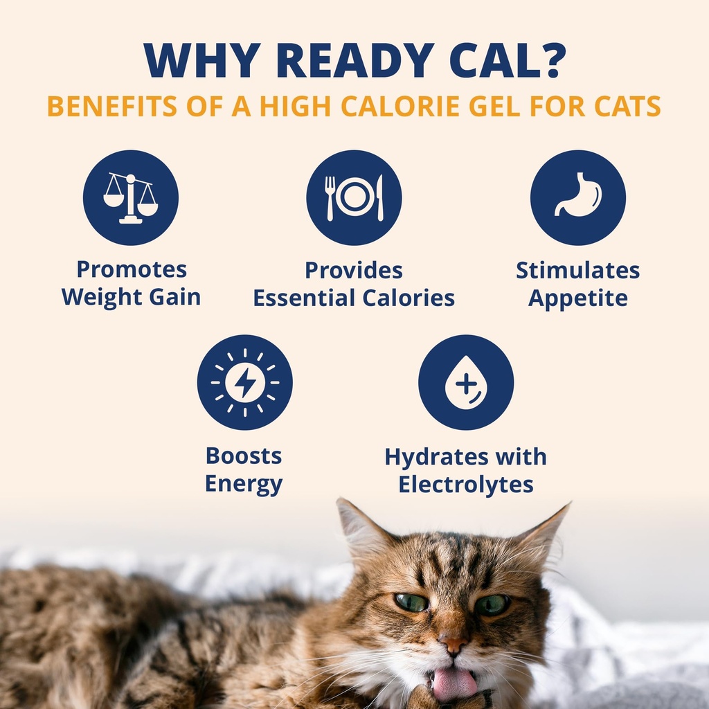 under-the-weather-pet-electrolytes-ready-2.jpg