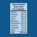 piping-rock-essential-amino-acids-supple-3.jpg