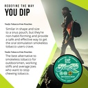 teaza-herbal-energy-pouches-wintergreen--6.jpg