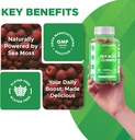 vitamatic-irish-sea-moss-gummies-3000-mg-5.jpg