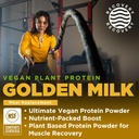 gnarly-nutrition-golden-milk-vegan-prote-2.jpg