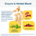 researched-nutritionals-biodisrupt-disru-4.jpg