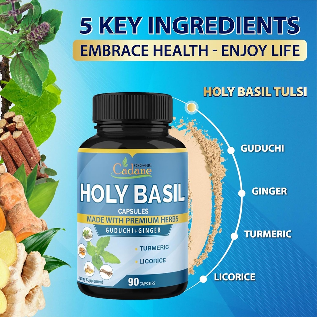 organic-cadane-holy-basil-supplements-ca-5.jpg