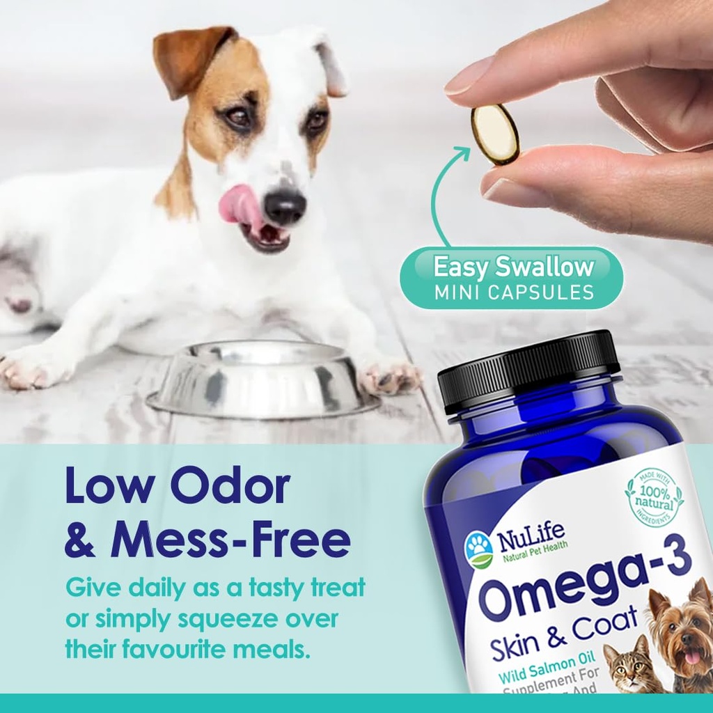 omega-3-fish-oil-for-small-dogs-cats-pet-6.jpg