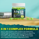2-pack-algae-omega-3-gummies-for-adults--6.jpg