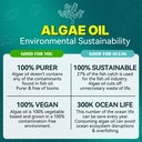 2-pack-algae-omega-3-gummies-for-adults--4.jpg