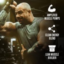 jacked-factory-nitrosurge-build-pre-work-2.jpg