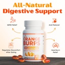 orange-burps-d-limonene-supplement-acid--6.jpg