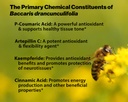 dr-ohhira-s-propolis-plus-60-capsules-wi-5.jpg