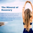 kala-health-msmpure-coarse-msm-powder-fl-5.jpg