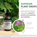 nutramedix-burbur-pinella-brain-health-s-5.jpg