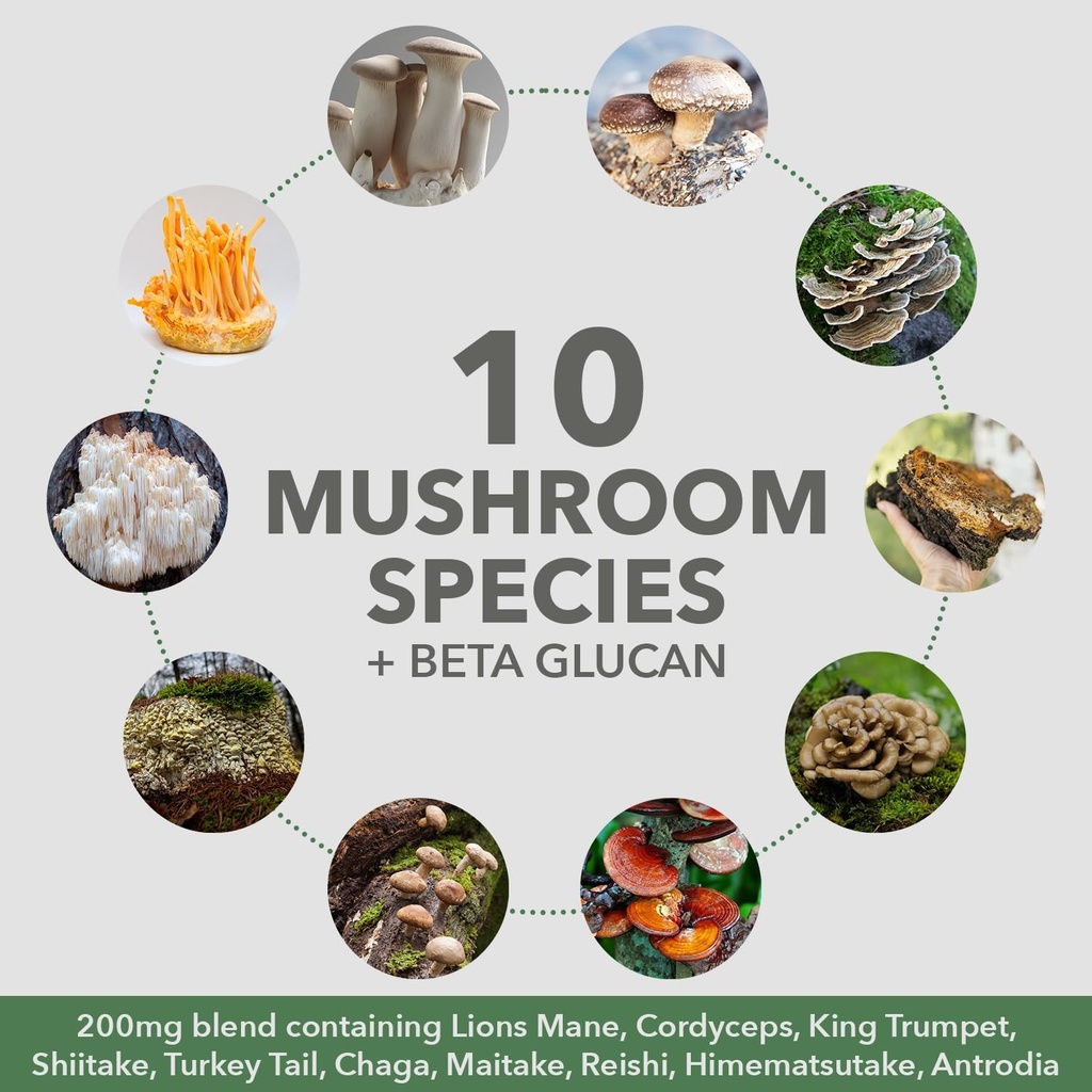 plantfusion-mushroom-protein-powder---3--5.jpg